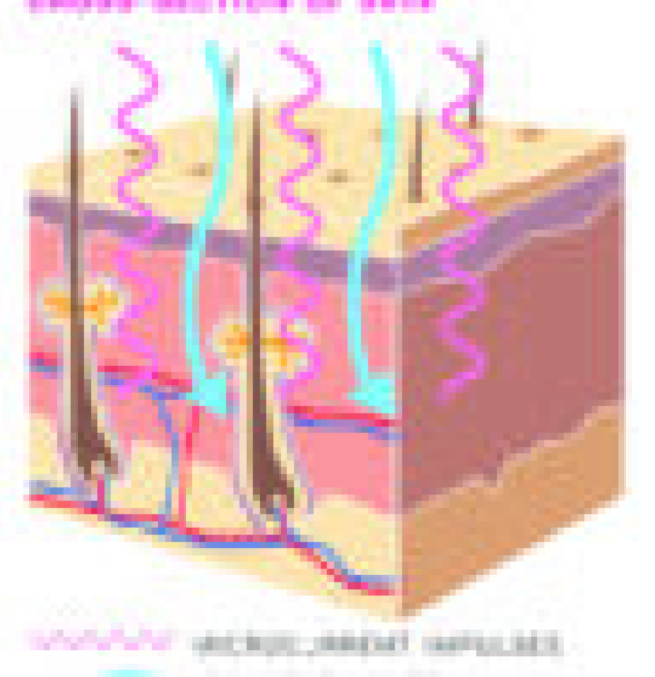CellWave Microcurrent LED (Refurbished) - Image 2