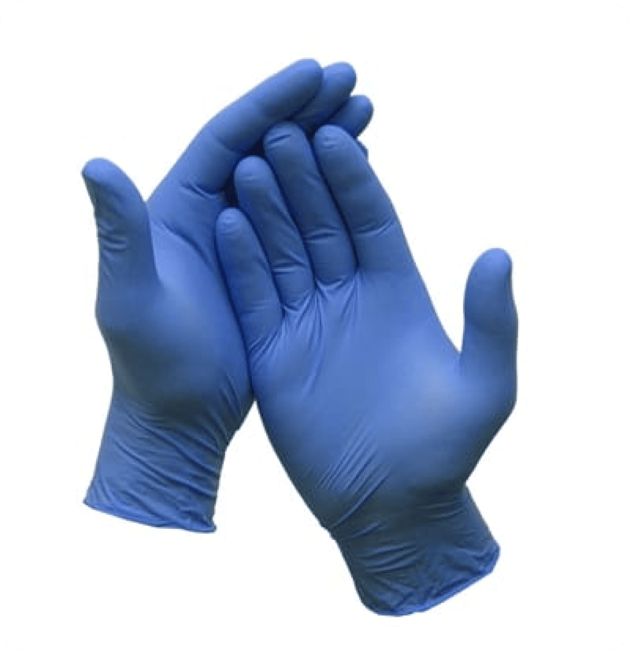 Shamrock Nitrile Gloves L - Image 2